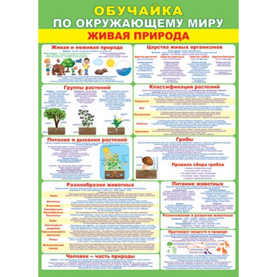 ОБУЧАЙКА ПО ОКРУЖАЮЩЕМУ МИРУ