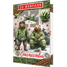 23 февраля! С праздником!