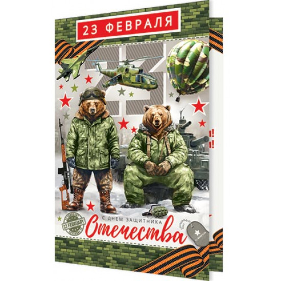 23 февраля! С праздником!