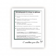 Рекомендации по уходу за цветами