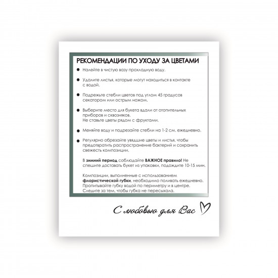Рекомендации по уходу за цветами