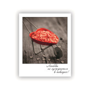 Любовь не нуждается в поводах!