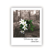 Потому что люблю...