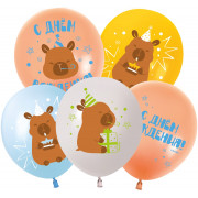 Шар (12''/30 см) Капибары, С Днем Рождения!, Ассорти, пастель, 2 ст, 25 шт.