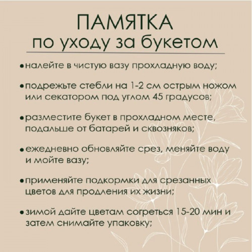 МБ-00554