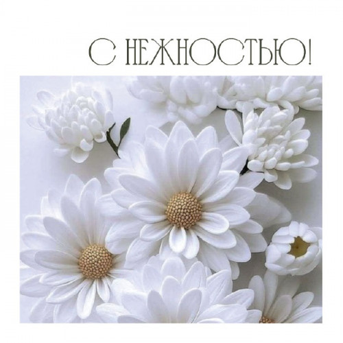 С нежностью!