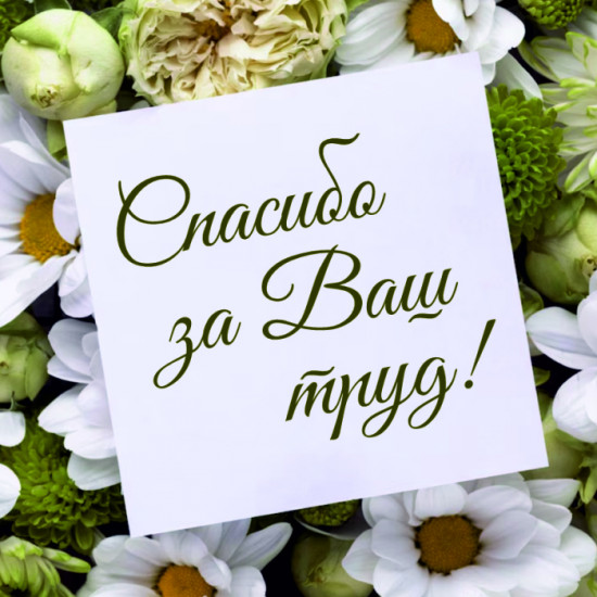 Спасибо за Ваш труд!