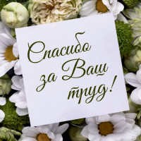 Спасибо за Ваш труд!