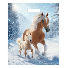 Пакет вырубной Дуэт 45х38/60мкм