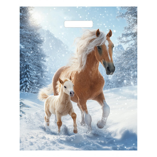 Пакет вырубной Дуэт 45х38/60мкм