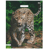 Пакет вырубной  Леопард 41х51/80 мкм