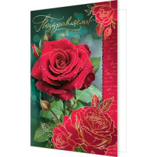 Поздравляем!