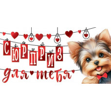 Сюрприз для тебя