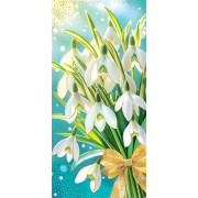 Конверт для денег (ФС)