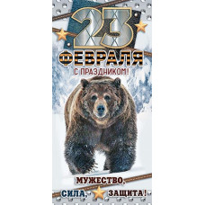 С праздником! 23 февраля (ФС)