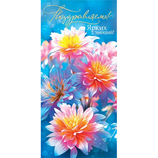 Поздравляем! (ФС)