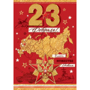 23 февраля ( РФ )