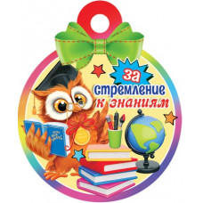 За стремление к знаниям