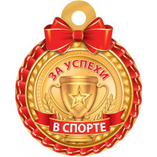 За успехи в спорте