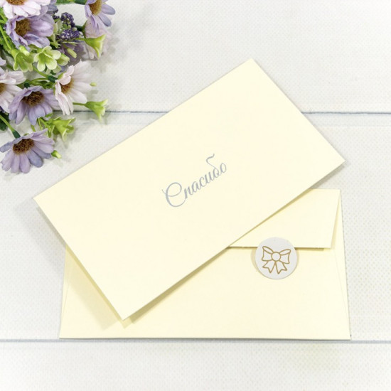 Конверт подарочный 16,9*9,4см Спасибо