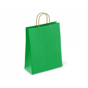 Пакет бумажный 80 г/м2 ПЗБМ крученые ручки 250*220*120 Green с печатью (250, 0)